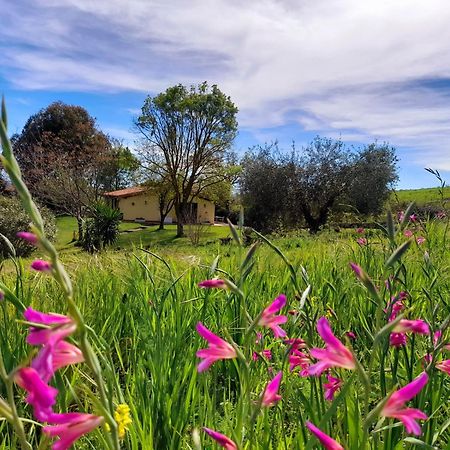 Agriturismo La Sorgente Fonteblanda Eksteriør bilde