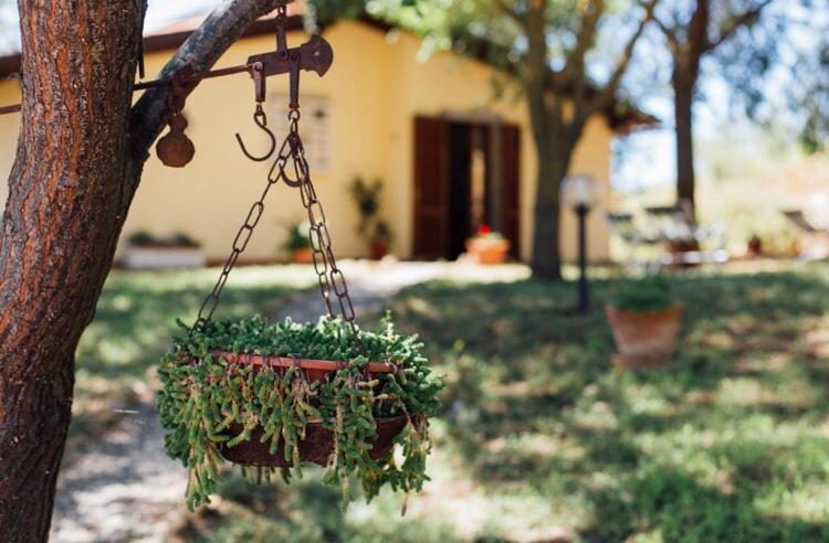 Agriturismo La Sorgente Fonteblanda Eksteriør bilde