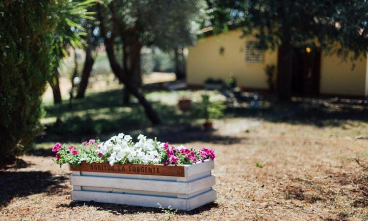 Agriturismo La Sorgente Fonteblanda Eksteriør bilde