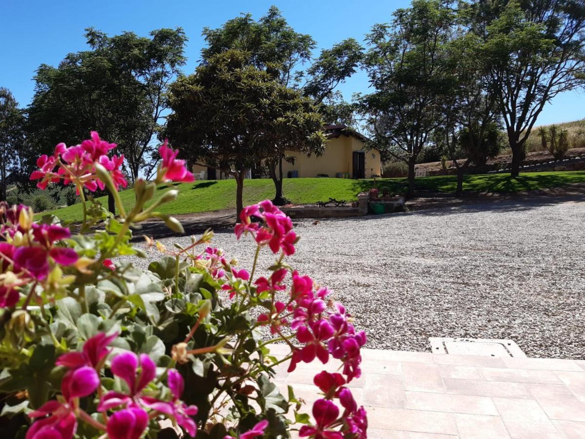 Agriturismo La Sorgente Fonteblanda Eksteriør bilde