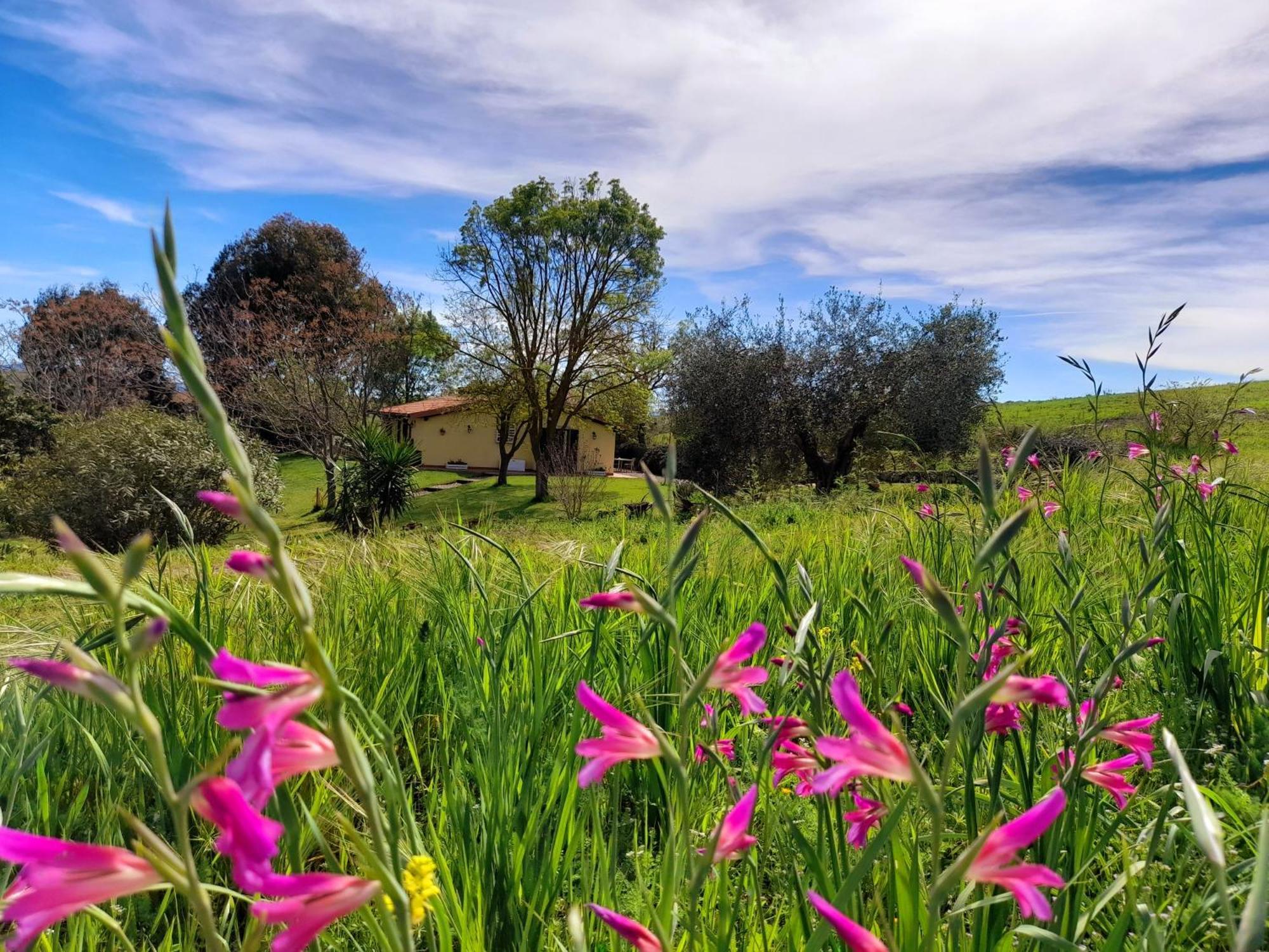 Agriturismo La Sorgente Fonteblanda Eksteriør bilde