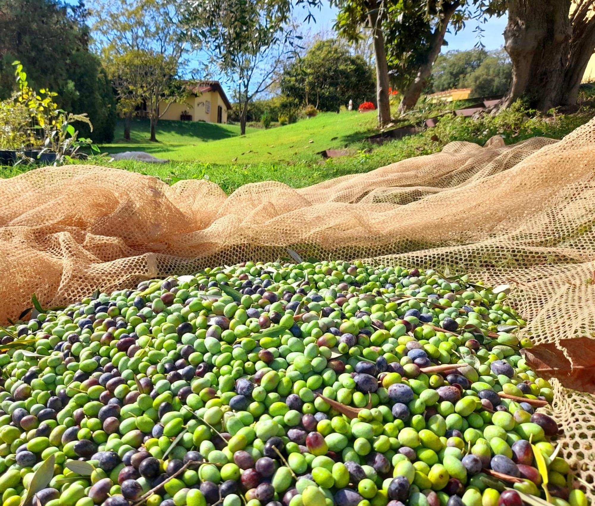 Agriturismo La Sorgente Fonteblanda Eksteriør bilde