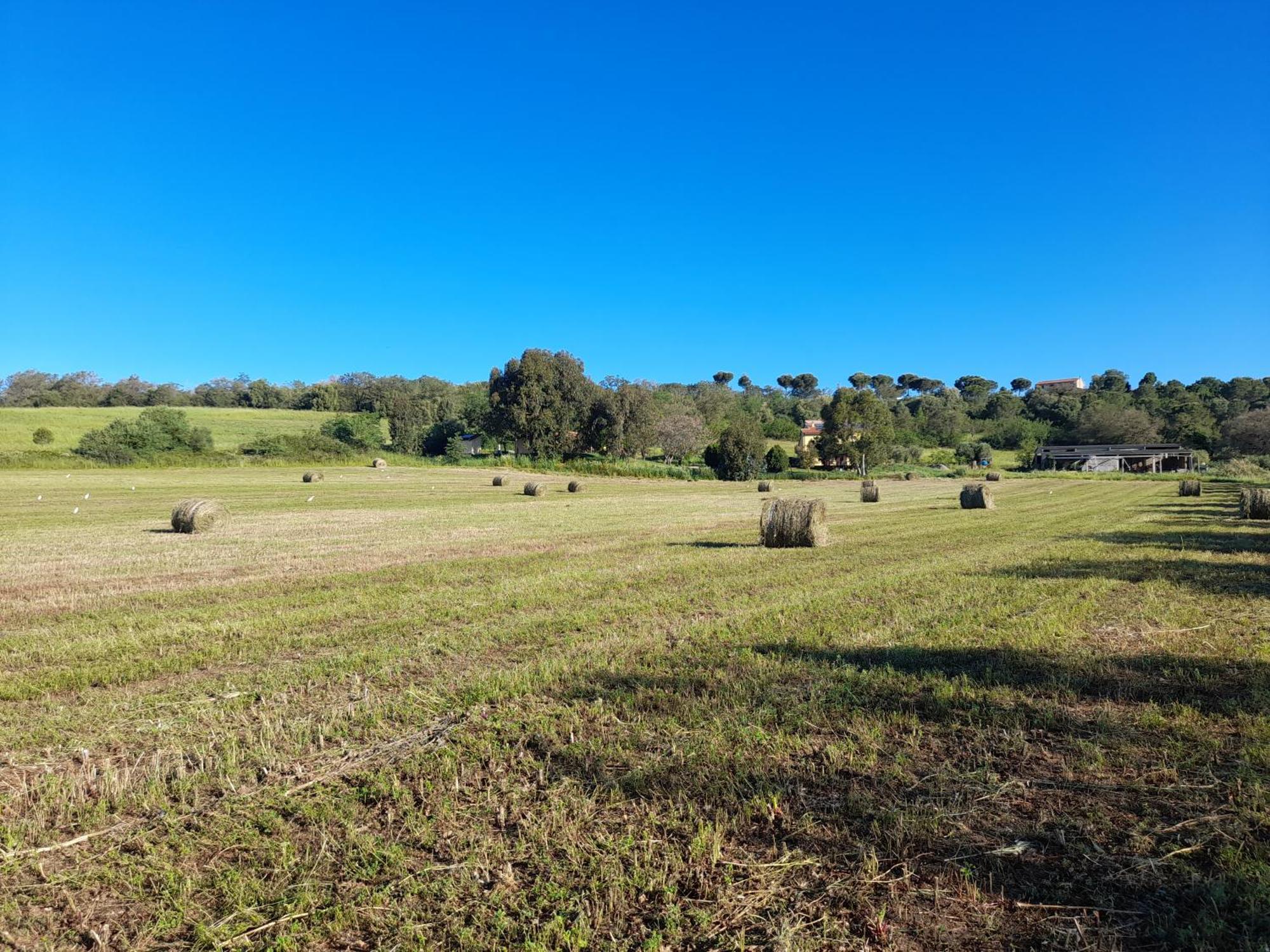 Agriturismo La Sorgente Fonteblanda Eksteriør bilde